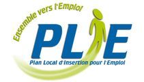 MIVE - SAE - Partenaire financiers :  PLIE